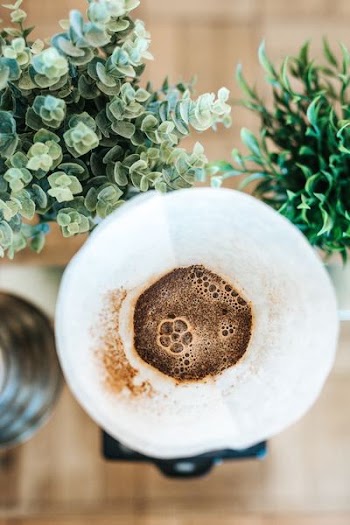 flat lay photography of coffee beside plants