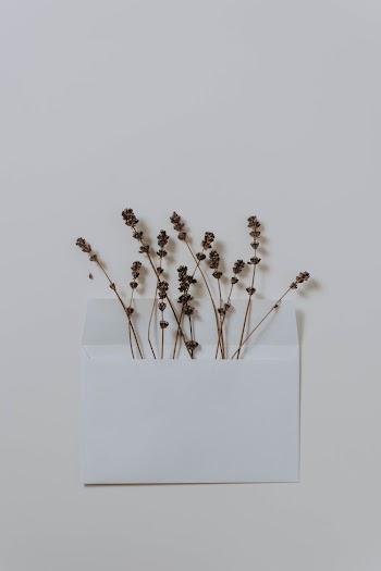 Flat Lay Photography of Withered Flowers in a White Envelope