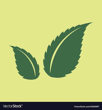 Flat leaves logo template vector image