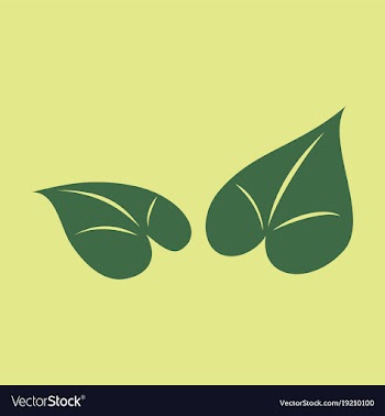 Flat leaves logo template vector image
