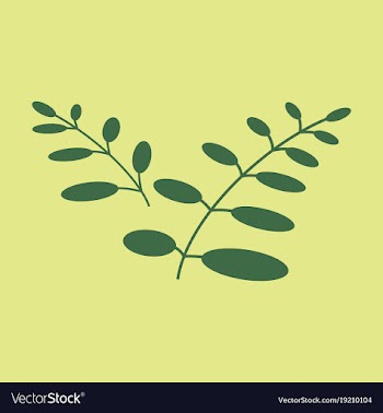 Flat leaves logo template vector image