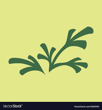 Flat leaves logo template vector image