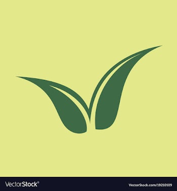 Flat leaves logo template vector image