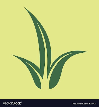 Flat leaves logo template vector image