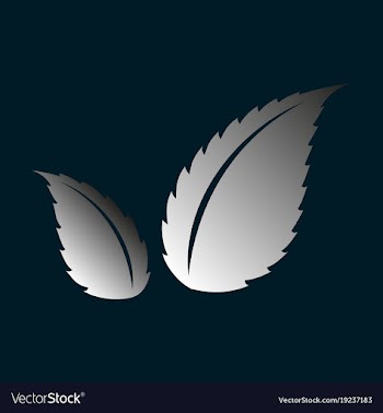 Flat leaves logo template vector image