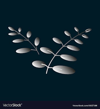 Flat leaves logo template vector image