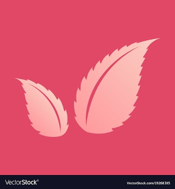 Flat leaves logo template vector image