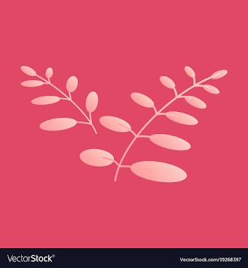 Flat leaves logo template vector image
