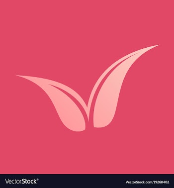 Flat leaves logo template vector image