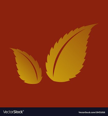 Flat leaves logo template vector image
