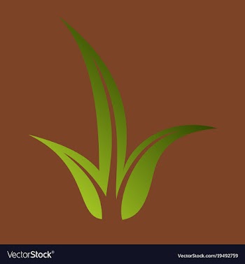 Flat leaves logo template vector image