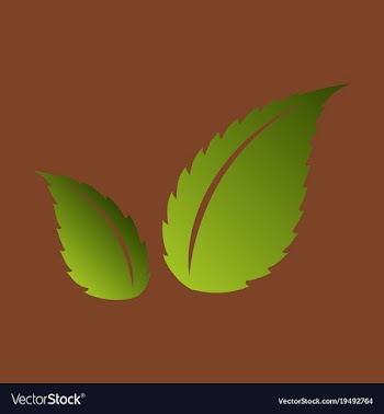 Flat leaves logo template vector image