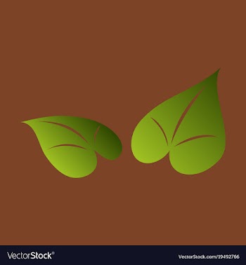 Flat leaves logo template vector image