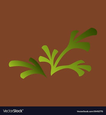 Flat leaves logo template vector image
