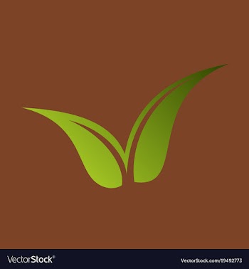 Flat leaves logo template vector image