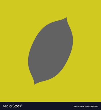 Flat lemon fresh lemon fruits vector image