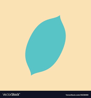 Flat lemon fresh lemon fruits vector image