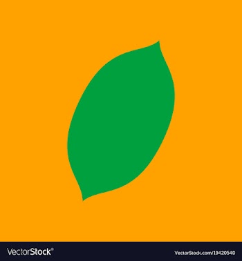 Flat lemon fresh lemon fruits vector image