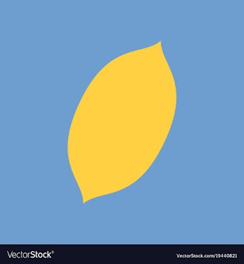Flat lemon fresh lemon fruits vector image