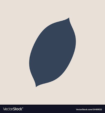 Flat lemon fresh lemon fruits vector image