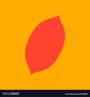 Flat lemon fresh lemon fruits vector image