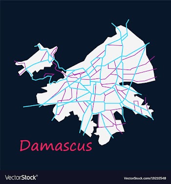 Flat map design - damascus city vector image