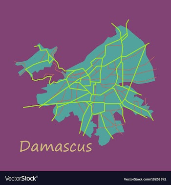 Flat map design - damascus city vector image
