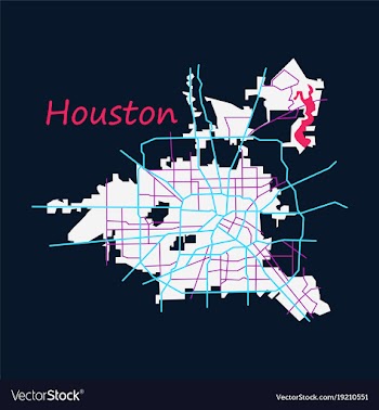Flat map houston city texas roads vector image