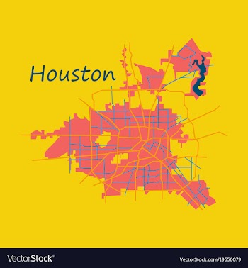 Flat map houston city texas roads vector image