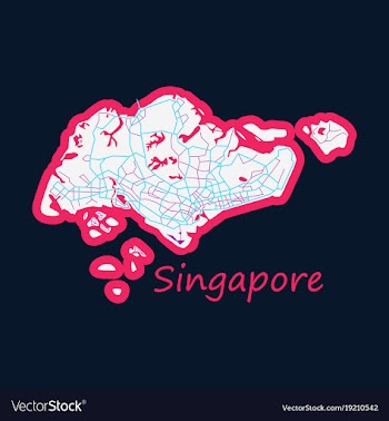 Flat map of singapore vector image