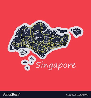 Flat map of singapore vector image