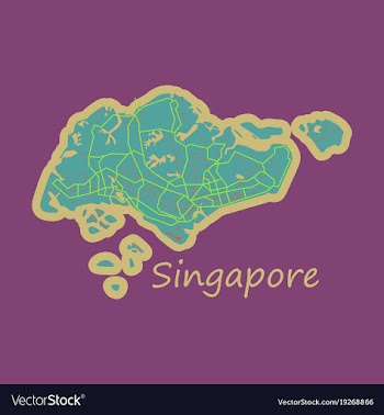 Flat map of singapore vector image