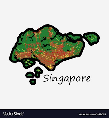 Flat map of singapore vector image