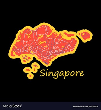 Flat map of singapore vector image