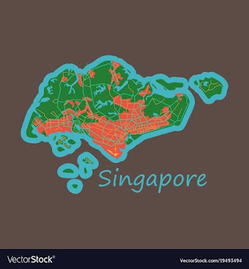 Flat map of singapore vector image