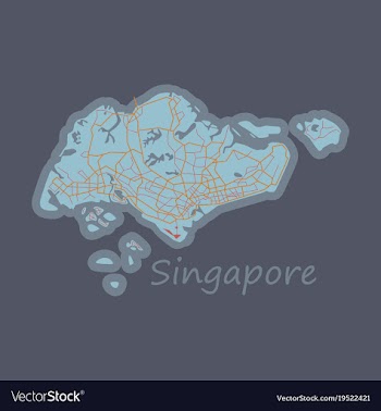 Flat map of singapore vector image