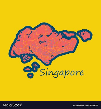 Flat map of singapore vector image