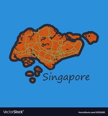 Flat map of singapore vector image