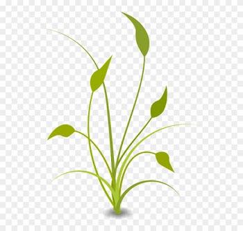 Flat Nature Plants Green Ecology Flat Plants And Tree - Floral Decoration