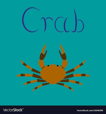 Flat on background animal crab vector image