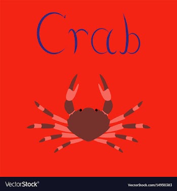 Flat on background animal crab vector image