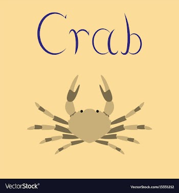 Flat on background animal crab vector image