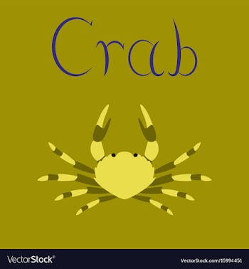 Flat on background animal crab vector image