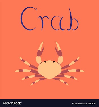 Flat on background animal crab vector image