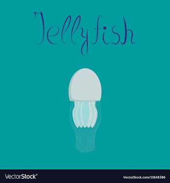Flat on background biology jellyfish vector image
