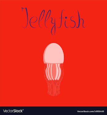 Flat on background biology jellyfish vector image