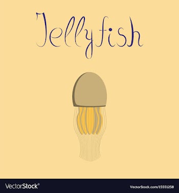 Flat on background biology jellyfish vector image