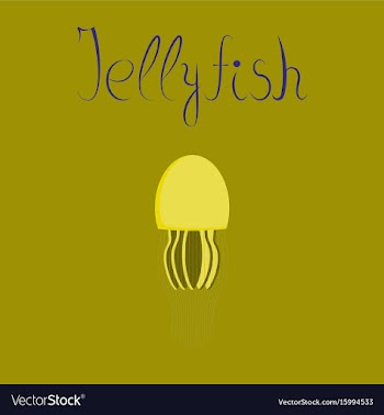 Flat on background biology jellyfish vector image