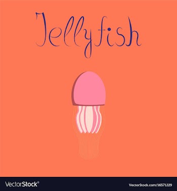 Flat on background biology jellyfish vector image