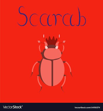 Flat on background bug scarab vector image